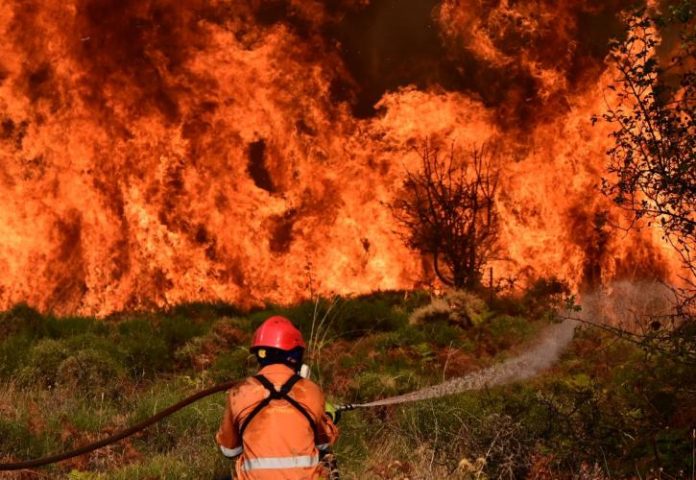 Κλιμάκια του ΕΛΓΑ από σήμερα στα καμένα του Ξυλοκάστρο